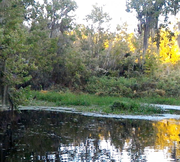 Colclough Pond Park (Gainesville,&nbspFL)